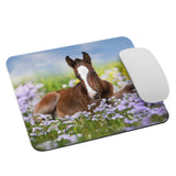 Spring Foal Mouse pad