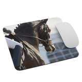 On the Bit Mouse Pad