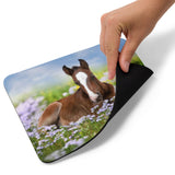 Spring Foal Mouse pad