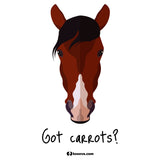 Got Carrots Long Sleeve T-Shirt