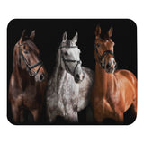 Three Amigos Horses Mouse Pad