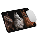 Three Amigos Horses Mouse Pad