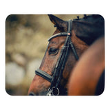 On the Lookout Dressage Horse Mouse pad