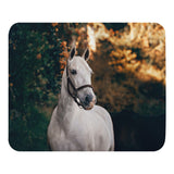 Beautiful Gray Horse Mouse Pad