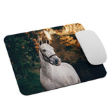 Beautiful Gray Horse Mouse Pad