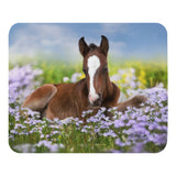 Spring Foal Mouse pad