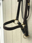 Leather Halter for Warmblood or Draft Horse