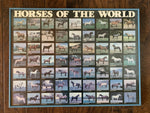 Horses of the World Framed Wall Art