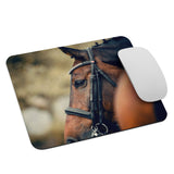 On the Lookout Dressage Horse Mouse pad