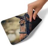 On the Lookout Dressage Horse Mouse pad